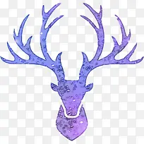 角 紫色 麋鹿