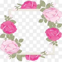 花架 粉色 玫瑰