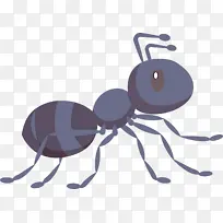 蚂蚁 昆虫 卡通