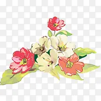 绘画花卉 水彩花卉 花卉绘画