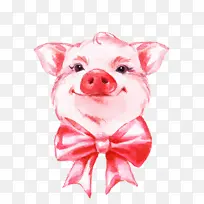 水彩猪 粉色 猪科