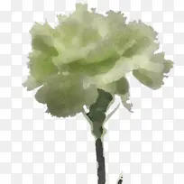 白色 花 切花