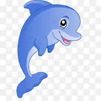 宽吻海豚 海豚 鱼