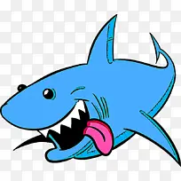 鱼 鲨鱼 唇形目