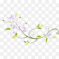 花边 花背景 花线