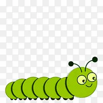 毛毛虫 昆虫 绿色