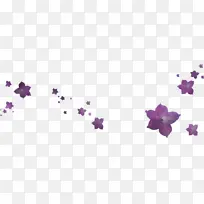 花边 花背景 紫色