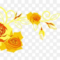 婚礼花 玫瑰 黄色