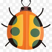 水彩瓢虫 昆虫 橙色