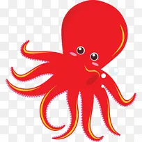 章鱼 太平洋巨章鱼 红色