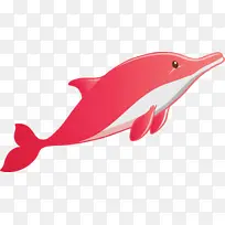 水彩海豚 鳍 海豚