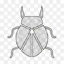 昆虫图标 虫子图标 甲虫图标