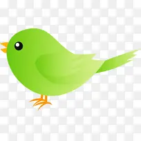 水彩鸟 绿色 鸟