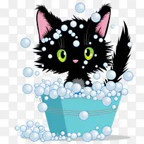猫 小到中等大小的猫 胡须
