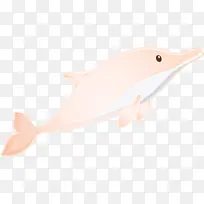 水彩海豚 粉色 鲸目动物