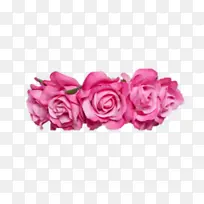 粉色 玫瑰 花园玫瑰