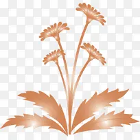 蒲公英花 复活节花 春花