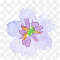 水彩花 花瓣 紫罗兰