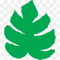 绿色 叶子 植物