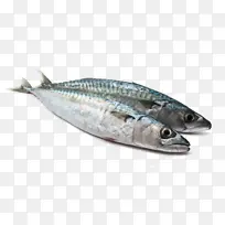 鱼 鱼产品 油性鱼
