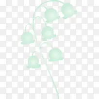 百合铃 花 水彩