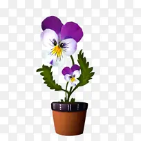 花 植物 野生三色堇