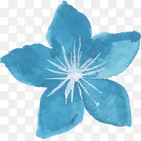 蓝色 花瓣 花