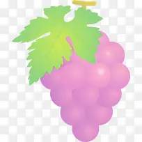 葡萄 水果 水彩画