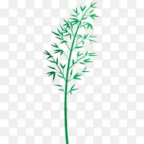 竹子 叶子 植物
