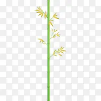 竹子 叶子 植物茎