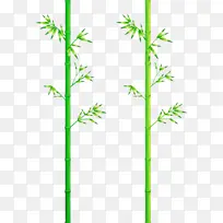 竹子 叶子 植物茎