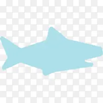 鲨鱼宝宝 鲨鱼 水族