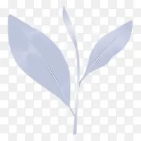 茶叶 叶子 春天
