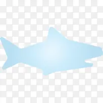 鲨鱼宝宝 鲨鱼 白色