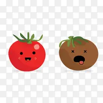 番茄 茄 水果