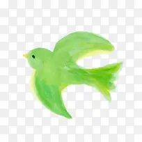 水彩鸟 绿色 鸟
