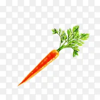 胡萝卜 蔬菜 小胡萝卜