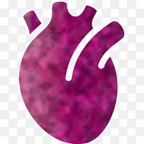 心脏器官 紫色 粉色