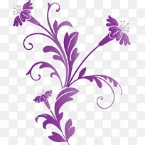 装饰框 花框 紫罗兰