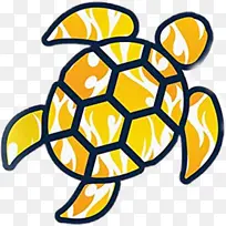 黄色 乌龟 池龟