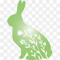 花兔 复活节 绿色
