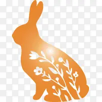 花兔 复活节 动物形象