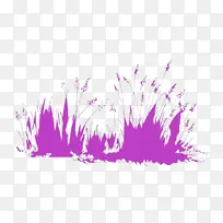 紫色 粉色 草