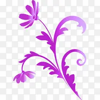 花架 紫色 花梗