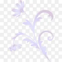 花架 紫罗兰 丁香
