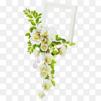 花卉 白色 切花