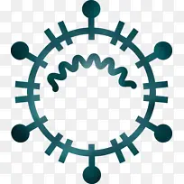 冠状病毒 新冠病毒 病毒