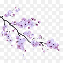 花 紫色 树枝