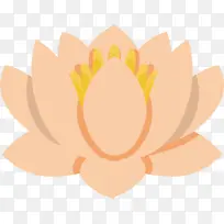 花瓣 黄色 嗯