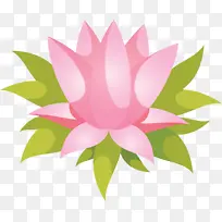 花瓣 水生植物 花卉设计
